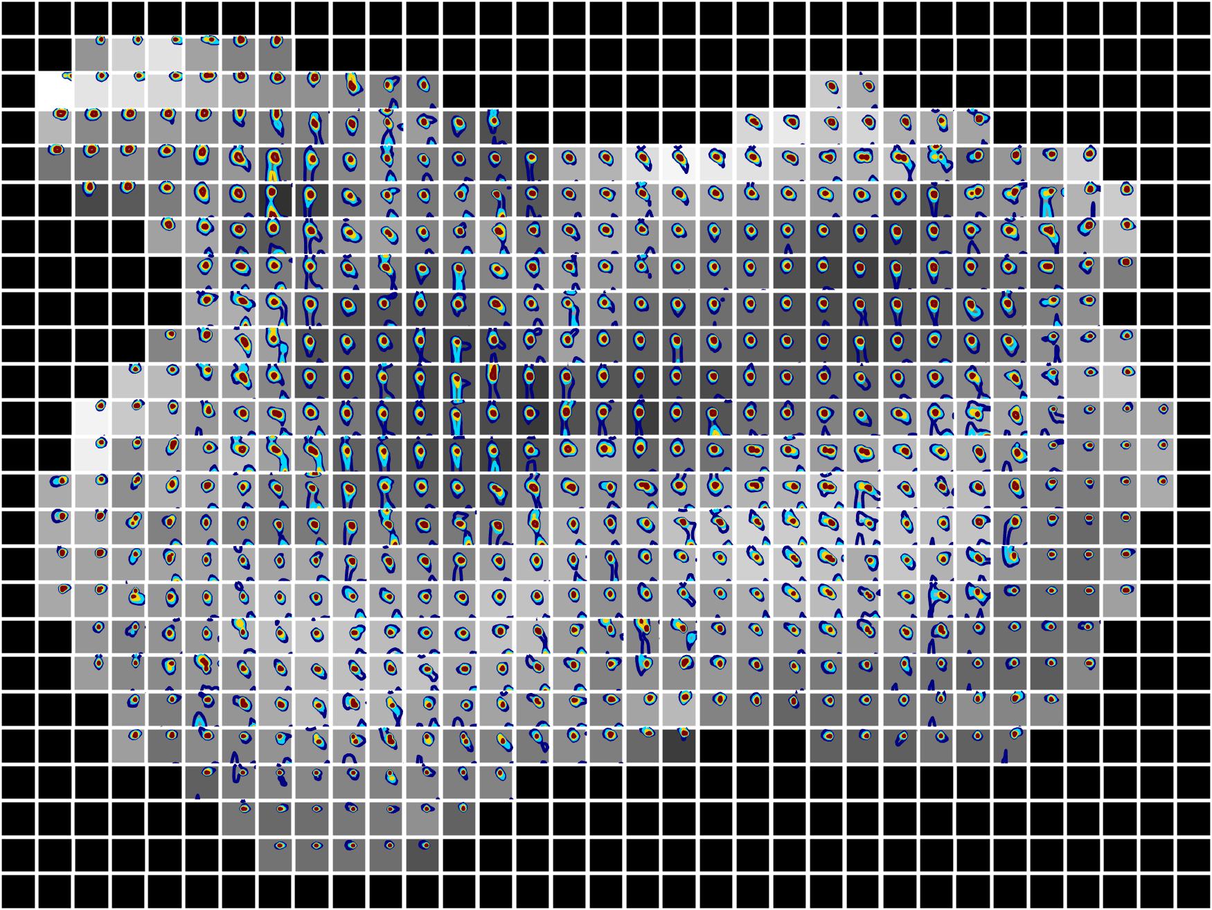 _images/DRCSI_inj_mouse_spectroscopic_Im_contour_1.png